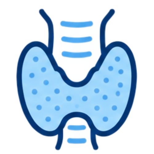 Perfil tiroideo